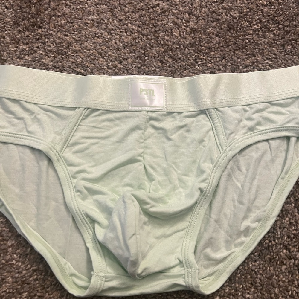 Green BVLGE briefs